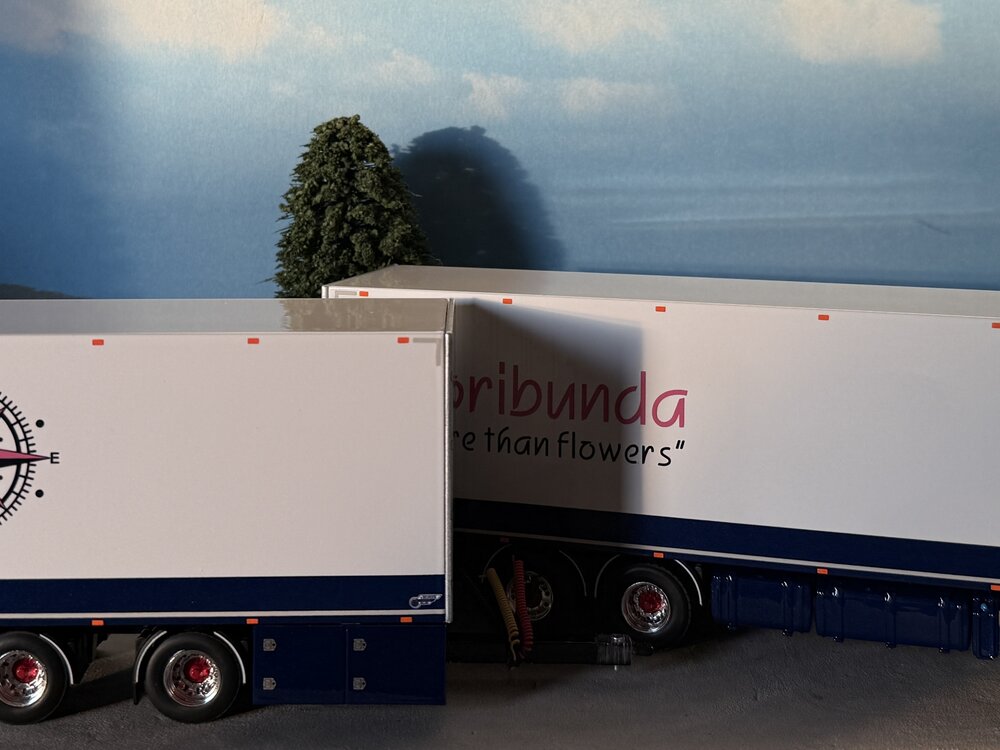 WSI WSI Scania S Highline riged reefer truck 6x2 with 2-axle reefer trailer FLORIBUNDA