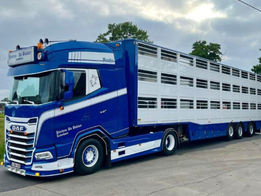 WSI WSI DAF XG+ 4X2 met 3-assige veeoplegger PEETERS DE BAKKER