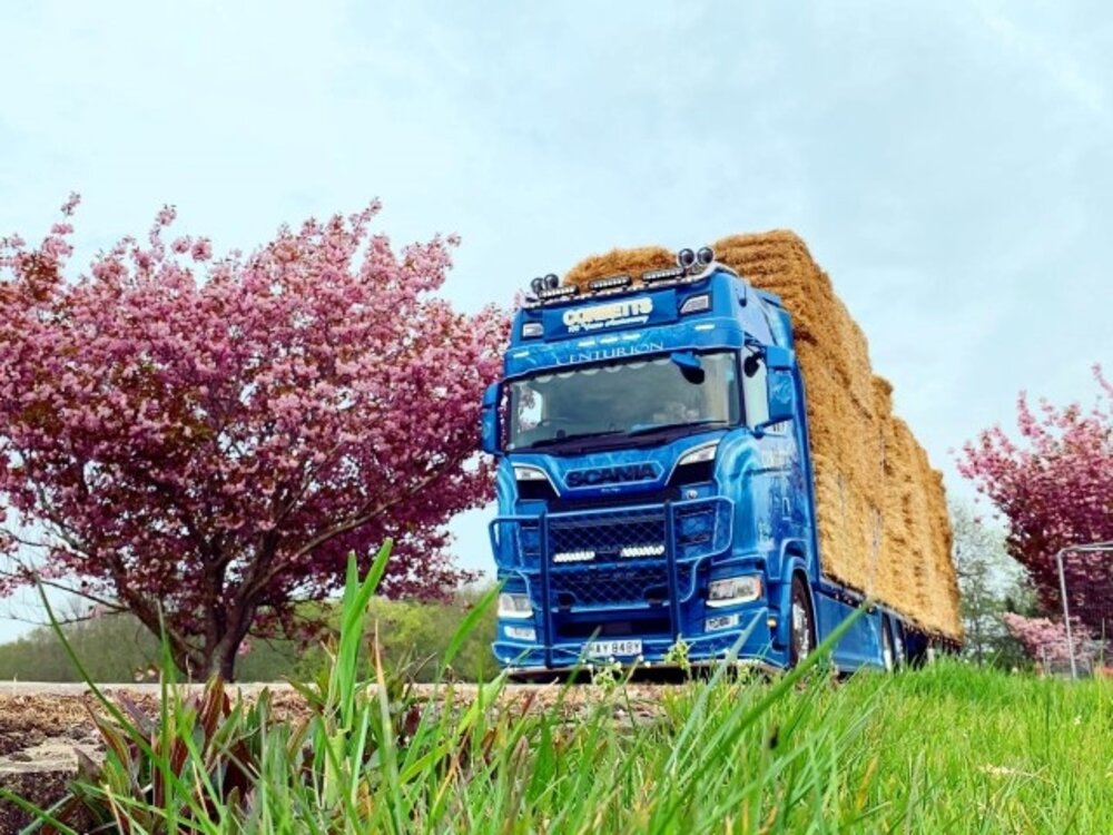 Tekno Tekno Scania Next Gen S650 Highline vlakke motorwagen met 3-assige wipkar (incl. lading) CORBETTS