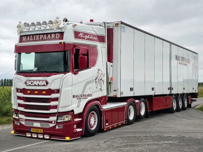 WSI WSI Scania S Highline 6x2 met 3-as koeloplegger MALIEPAARD TRANSPORT