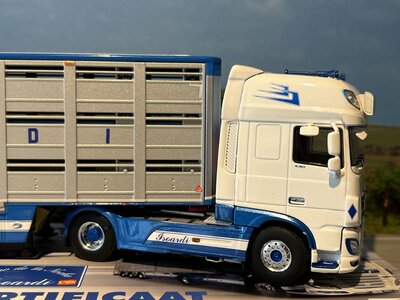 WSI WSI DAF XF Super Space Cab 4x2 with live stock trailer ISOARDI