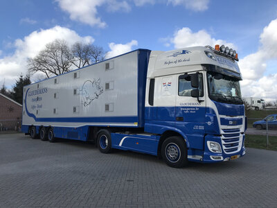 WSI WSI DAF XF Super Space Cab 4x2 Livestock trailer GLOUDEMANS