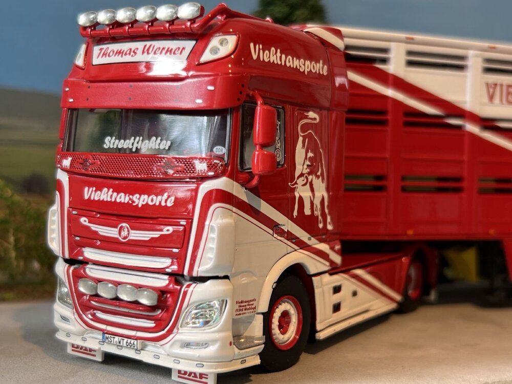 WSI WSI DAF XF SSC 4x2 + 3-axle live stock trailer THOMAS WERNER