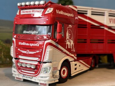 WSI WSI DAF XF SSC 4x2 + 3-axle live stock trailer THOMAS WERNER