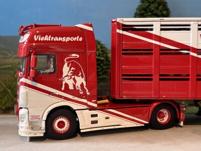 WSI WSI DAF XF SSC 4x2 + 3-as veeoplegger THOMAS WERNER