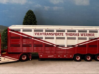 WSI WSI DAF XF SSC 4x2 + 3-as veeoplegger THOMAS WERNER