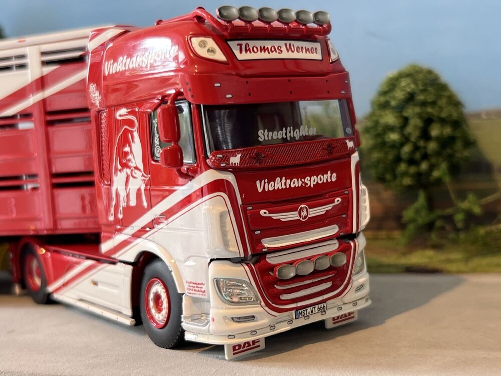 WSI WSI DAF XF SSC 4x2 + 3-axle live stock trailer THOMAS WERNER