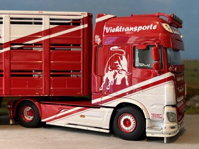 WSI WSI DAF XF SSC 4x2 + 3-axle live stock trailer THOMAS WERNER
