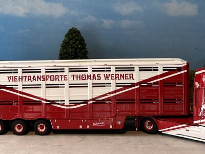 WSI WSI DAF XF SSC 4x2 + 3-axle live stock trailer THOMAS WERNER