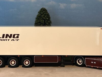 WSI WSI Scania S Highline 4x2 +3  as koeloplegger ROLING
