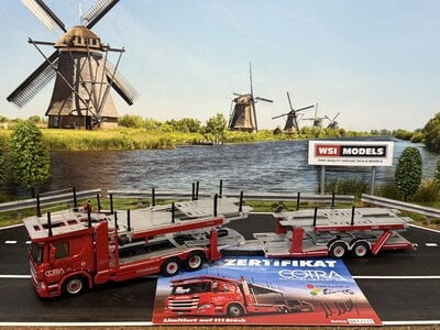 WSI WSI "EXCLUSIVE" Scania P Low CP20 cartransporter COTRA