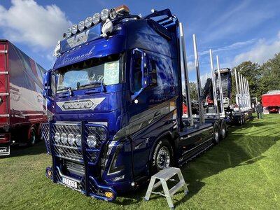 Tekno Tekno Volvo FH16 Globetrotter XL rigid truck with wood trailer EDS TRAFAKT