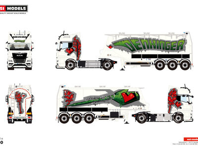 WSI WSI MAN TGX GX 4x2 with 3-axle bulk trailer DENKINGER