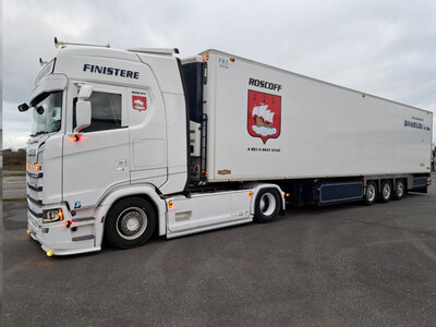 WSI WSI Scania S Highline with 3-axle reefer trailer  DANIELOU