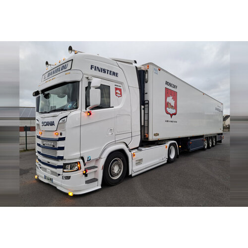 WSI WSI Scania S Highline 4x2 met 3-as koeloplegger DANIELOU