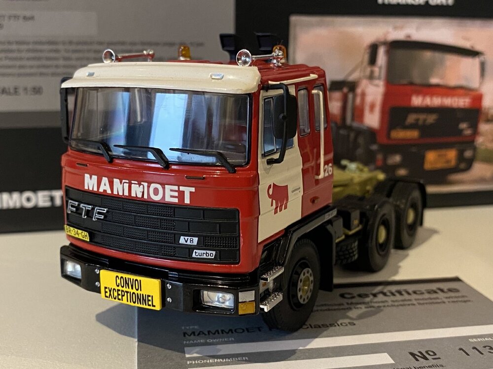 Mammoet store WSI FTF 6x4 single truck MAMMOET