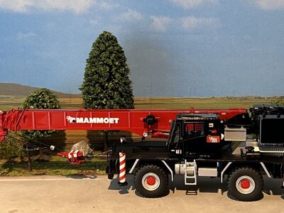 Mammoet store WSI Grove RT 540 Mobile crane MAMMOET