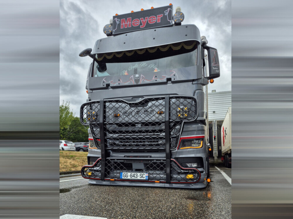 WSI WSI MAN TGX GM MEYER