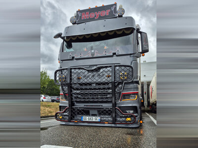 WSI WSI MAN TGX GM MEYER