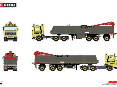 WSI WSI Volvo F10 6x2 met 3-assige klassieke steen oplegger HAUKES