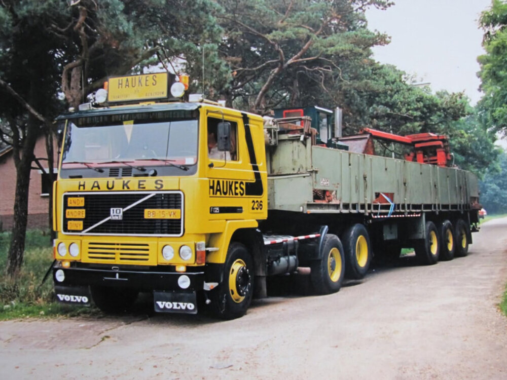 WSI WSI Volvo F10 6x2 with 3-axle classic brick trailer HAUKES