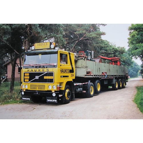 WSI WSI Volvo F10 6x2 met 3-assige klassieke steen oplegger HAUKES