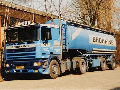 WSI WSI DAF 95 Comfort cab with 2-axle annimalfeed bilk trailer BROKKING