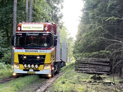 Tekno Tekno Scania NGR Highline 8x4 wood transport combination AUNING