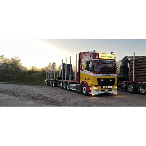 Tekno Tekno Scania NGR Highline 8x4 houttransport combinatie AUNING