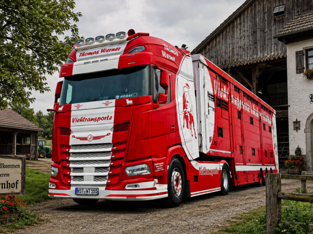 WSI WSI DAF XF+ 4x2 met 3-assige veeoplegger THOMAS WERNER