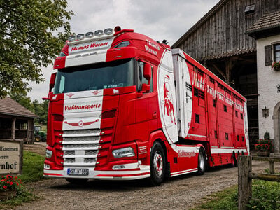 WSI WSI DAF XF+ 4x2 met 3-assige veeoplegger THOMAS WERNER