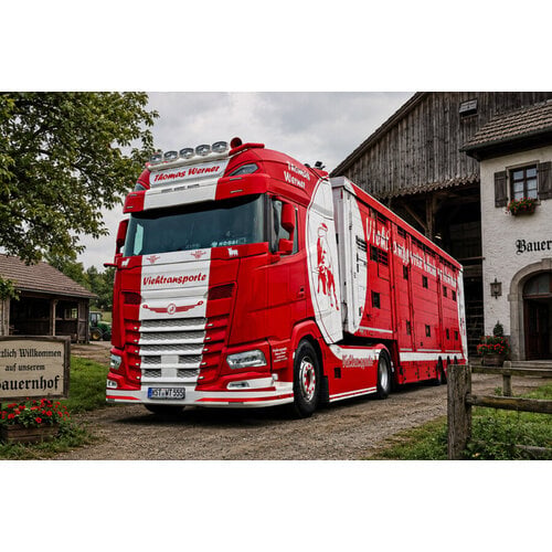 WSI WSI DAF XF+ 4x2 met 3-assige veeoplegger THOMAS WERNER