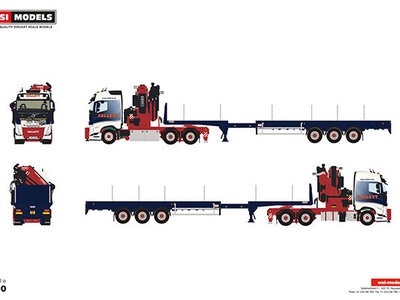 WSI WSI Volvo FH5 Glob. 6x4 with fassi 1100 + 3-axle flatbed trailer COLLETT