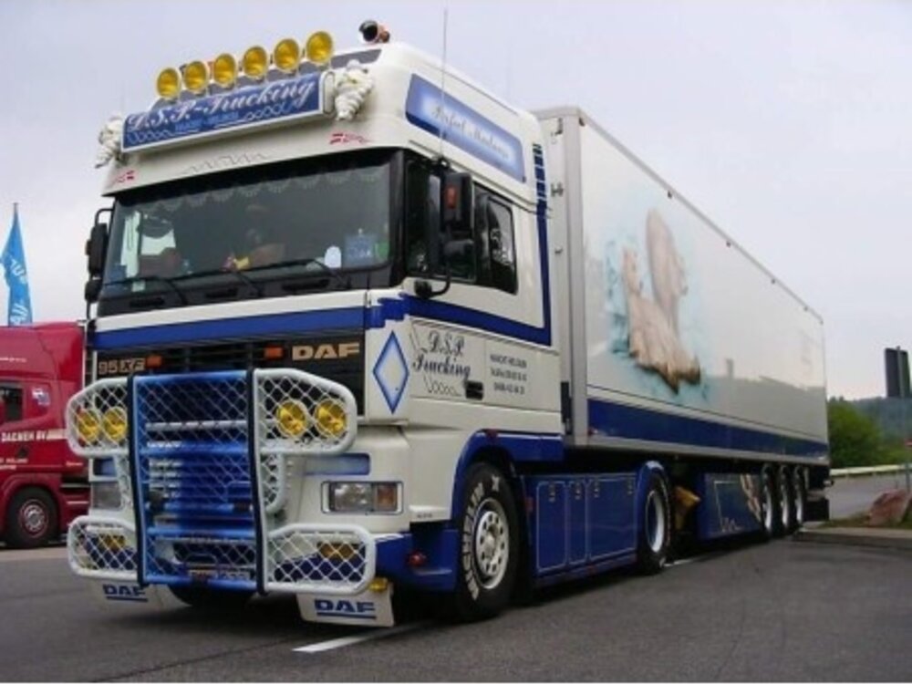 WSI WSI "Exclusive" DAF 95 Super Space Cab 4x2 with 3-axle reefer trailer D.S.P. Trucking