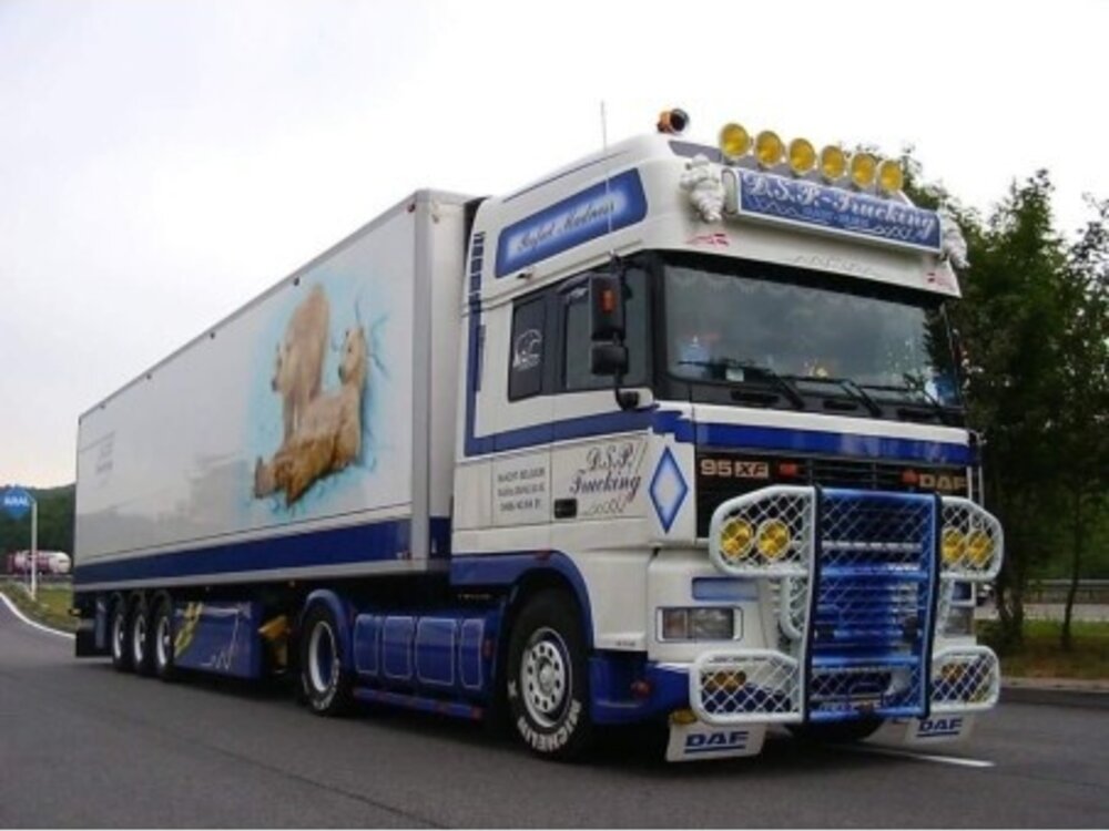 WSI WSI "Exclusive" DAF 95 Super Space Cab 4x2 with 3-axle reefer trailer D.S.P. Trucking