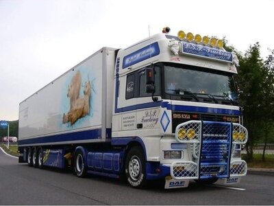 WSI WSI "Exclusive" DAF 95 Super Space Cab 4x2 with 3-axle reefer trailer D.S.P. Trucking