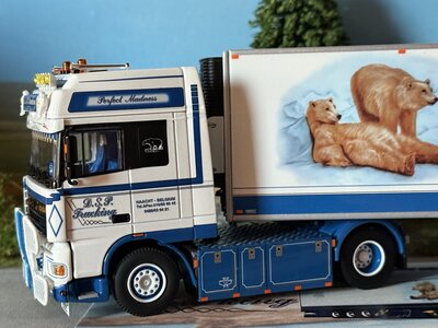 WSI WSI "Exclusief" DAF 95 Super Space Cab 4x2 met 3-as koeloplegger D.S.P. Trucking