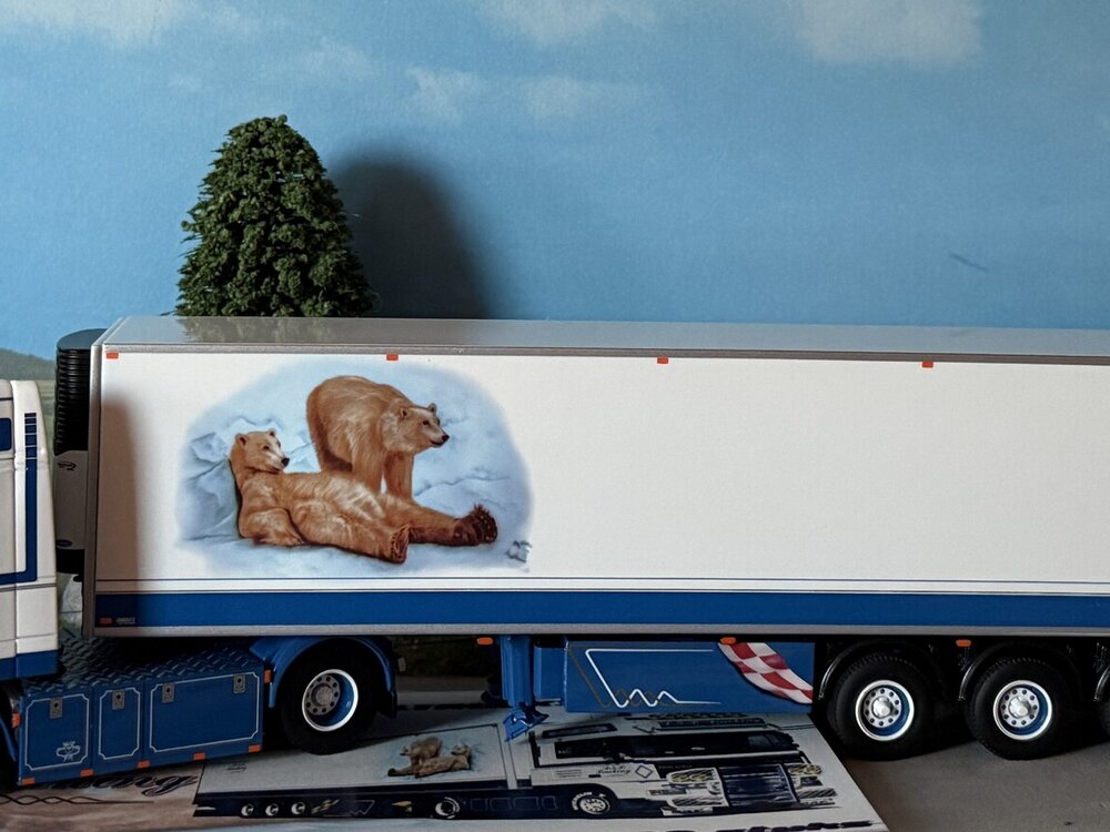 WSI WSI "Exclusive" DAF 95 Super Space Cab 4x2 with 3-axle reefer trailer D.S.P. Trucking
