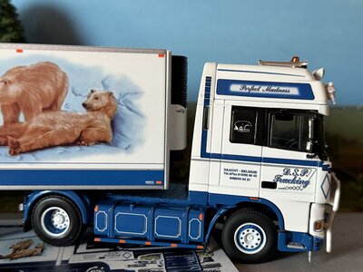 WSI WSI "Exclusief" DAF 95 Super Space Cab 4x2 met 3-as koeloplegger D.S.P. Trucking