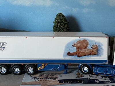 WSI WSI "Exclusive" DAF 95 Super Space Cab 4x2 with 3-axle reefer trailer D.S.P. Trucking