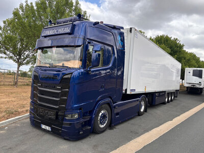 WSI WSI Scania NGS 4x2 met 3-as koeloplegger PEROCHEAU