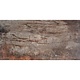 Bodenfliese Ecno Cherry Feinsteinzeug glasiert matt - 30 cm x 60 cm x 0,9 cm