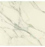 Bodenfliese Premium Marble Calacatta Poliert - 78 cm x 78 cm x 1 cm