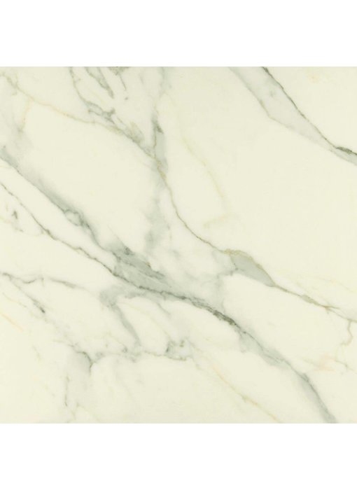 Bodenfliese Premium Marble Calacatta Poliert - 78 cm x 78 cm x 1 cm