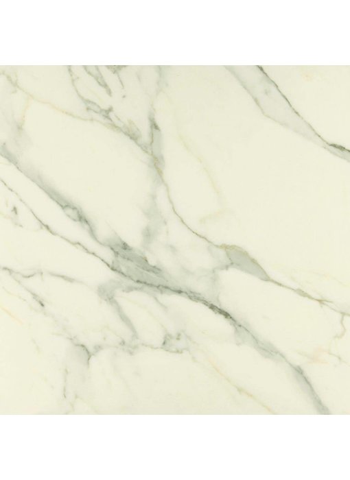 Bodenfliese Premium Marble Calacatta Poliert - 78 cm x 78 cm x 1 cm