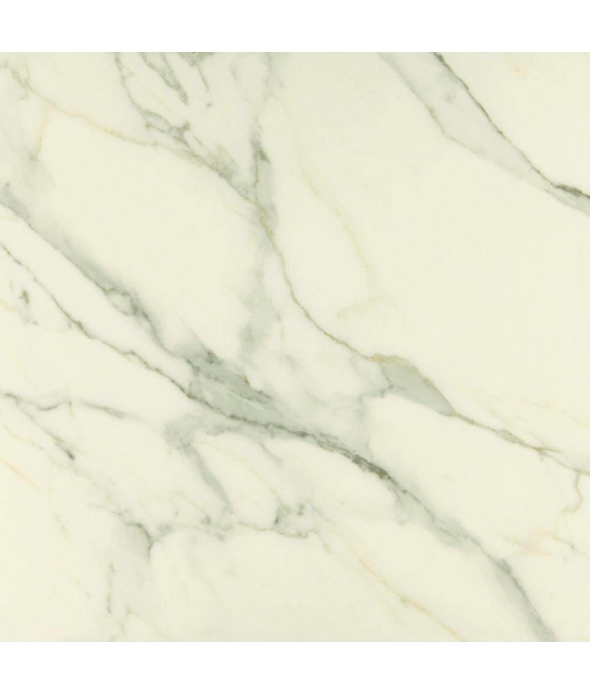 Bodenfliese Premium Marble Calacatta Poliert - 78 cm x 78 cm x 1 cm