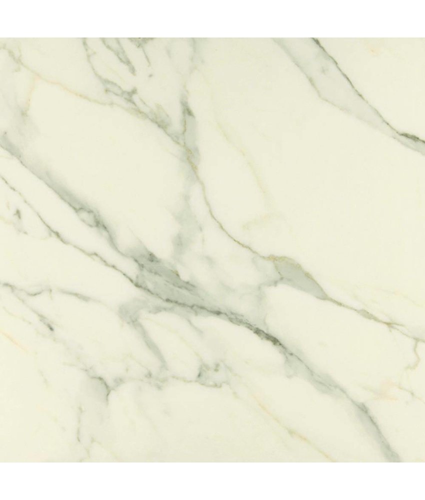 Bodenfliese Premium Marble Calacatta Poliert - 78 cm x 78 cm x 1 cm