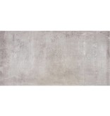Bodenfliese Beca Hellgrau Feinsteinzeug matt - 60 cm x 120 cm x 1 cm
