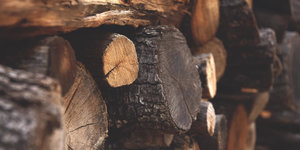 Alle soorten kachelhout op een rij