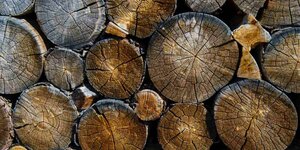 Hoe droog moet hout zijn om te stoken?